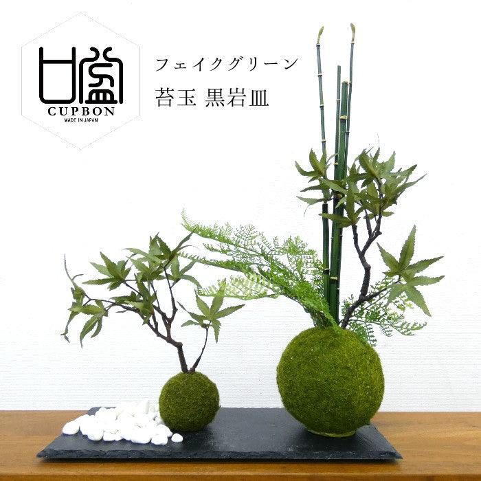 カップボン 苔玉黒岩皿 モミジ