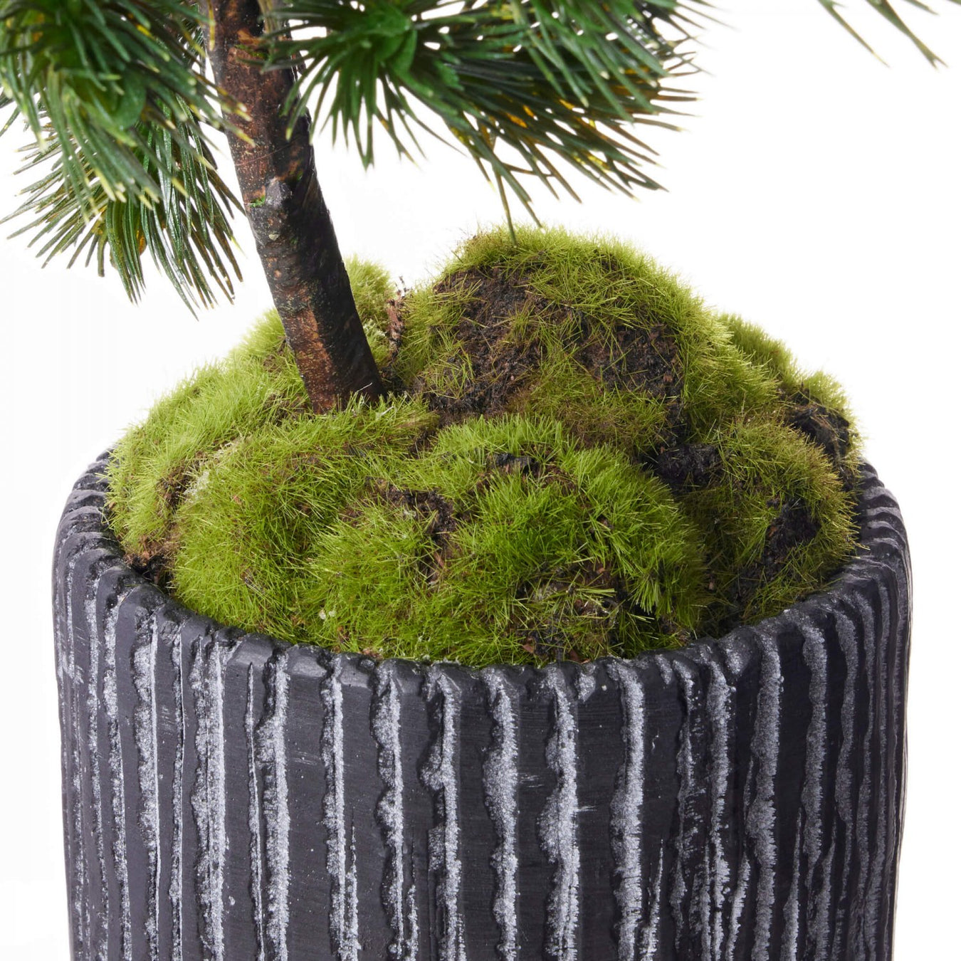 苔盆