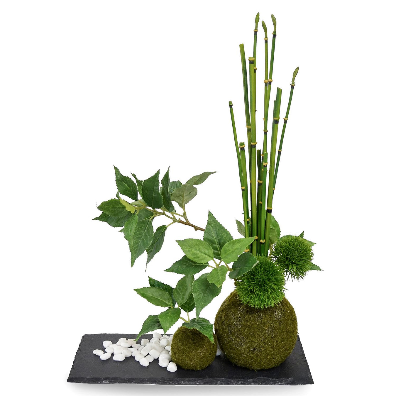 苔玉