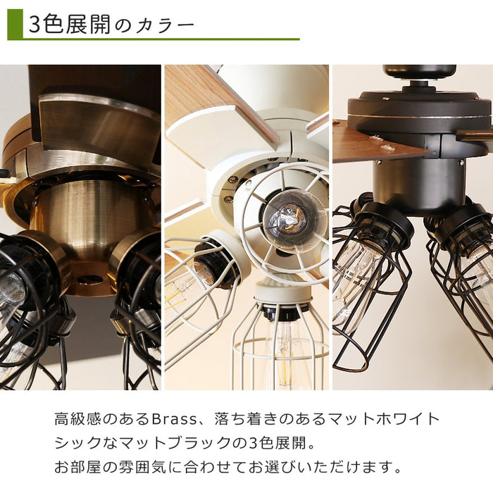 3色展開
