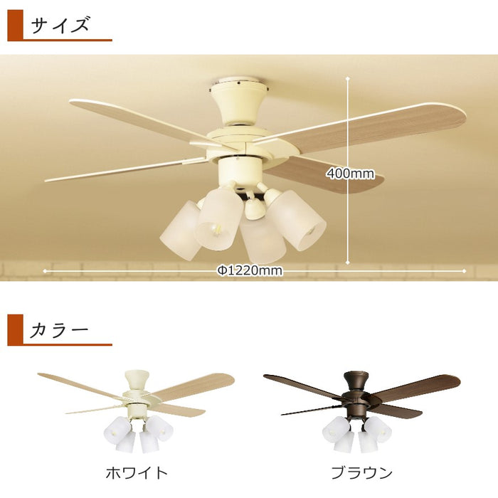 サイズとカラー