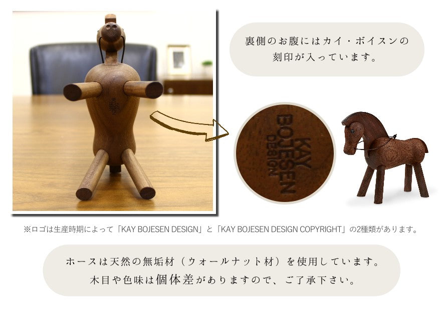 カイ・ボイスンデンマーク　ホースの詳細