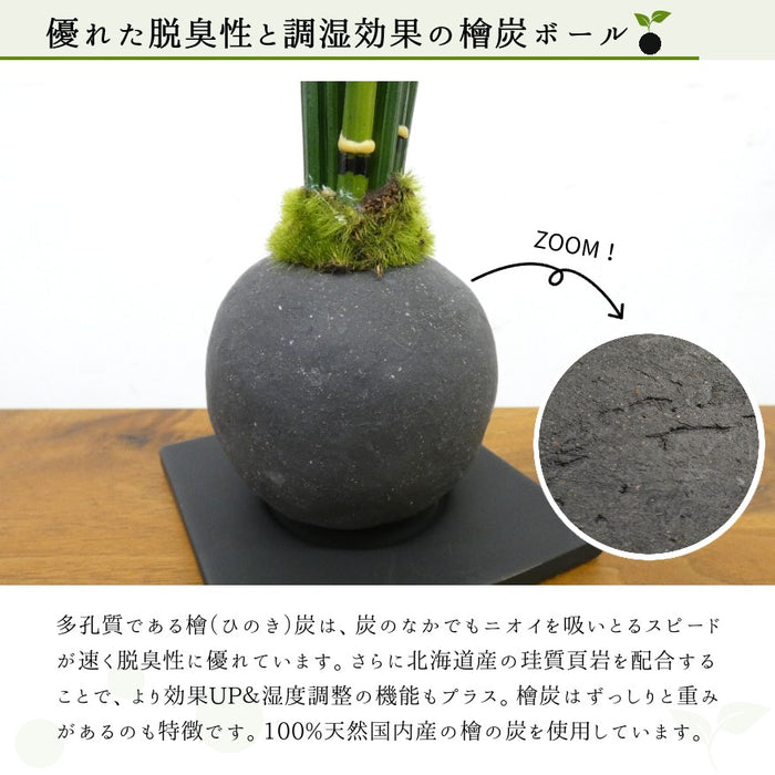 優れた脱臭性と調湿効果