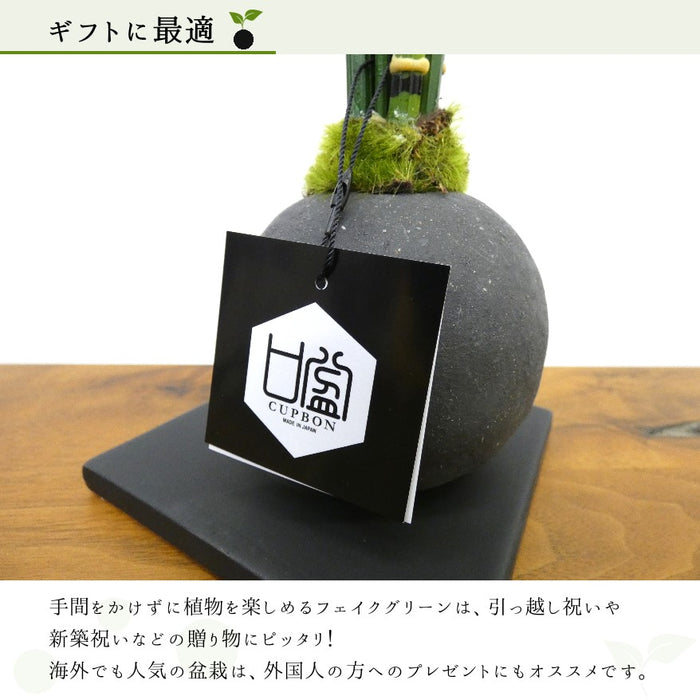 ギフトに最適