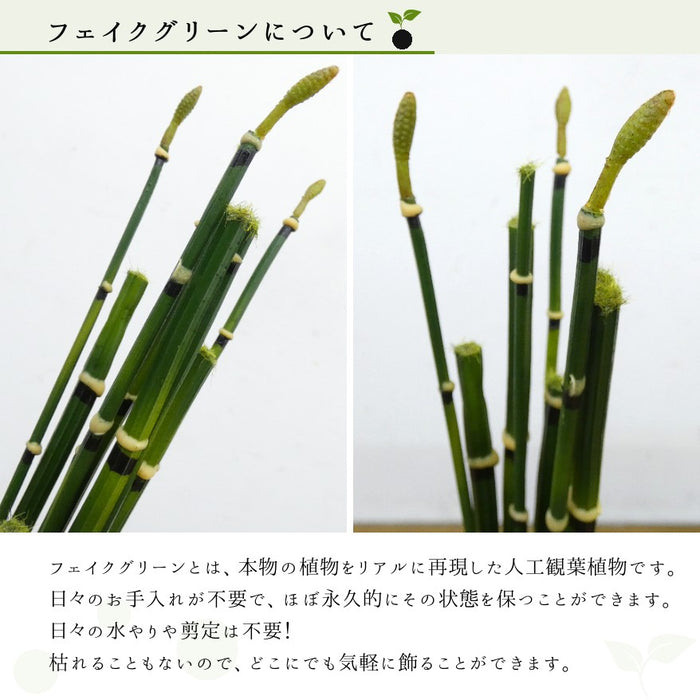フェイクグリーンについて