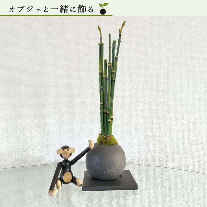 オブジェと一緒に