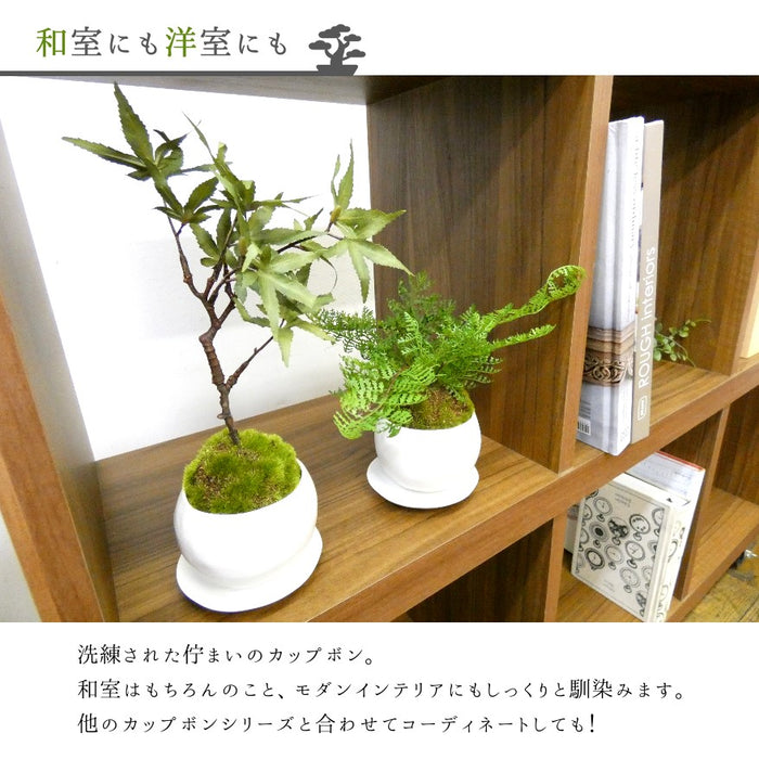 和室にも洋室にも