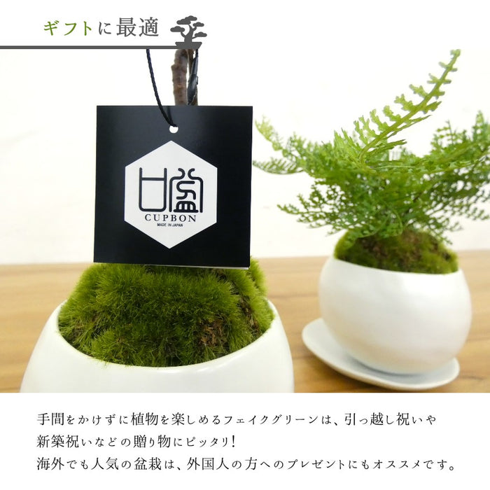 ギフトに最適