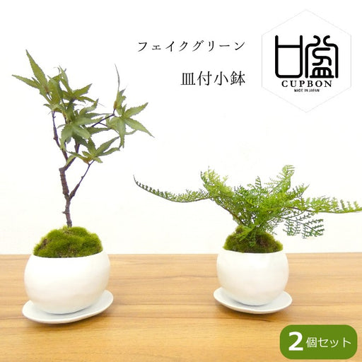 カップボン　皿付き小鉢白　2個セット」