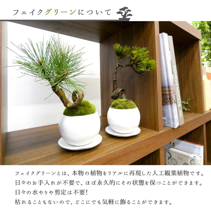 フェイクグリーンについて