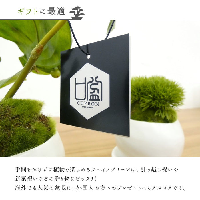 ギフトに最適
