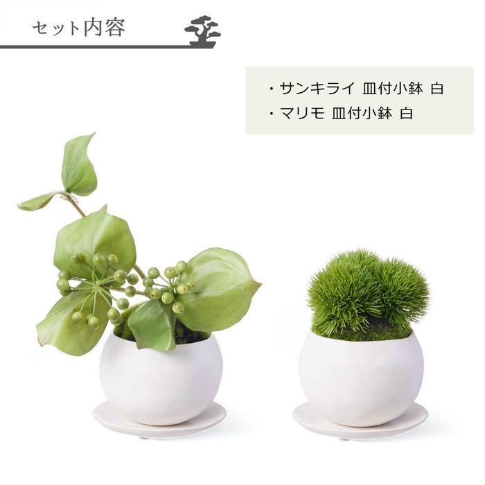 セット内容について