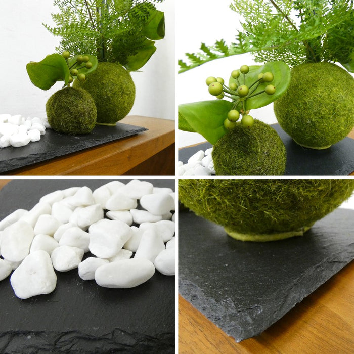 カップボン　苔玉黒岩皿　サンキライ