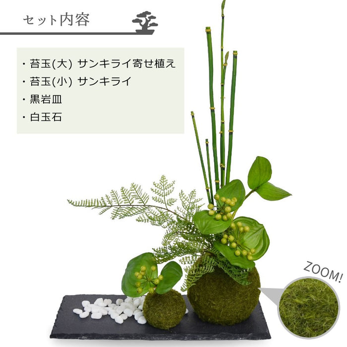 セット内容