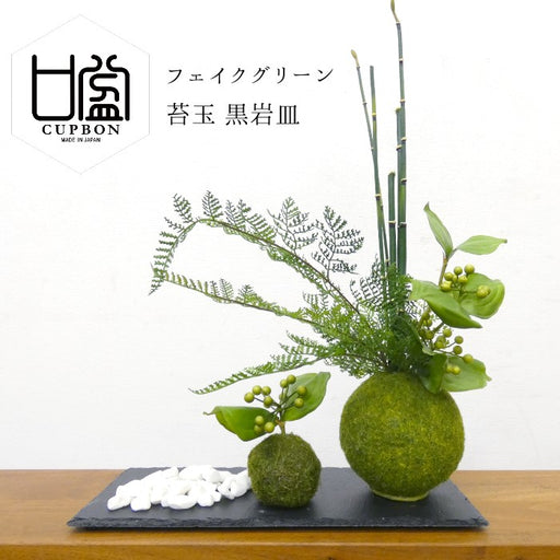 カップボン　苔玉黒岩皿　サンキライ
