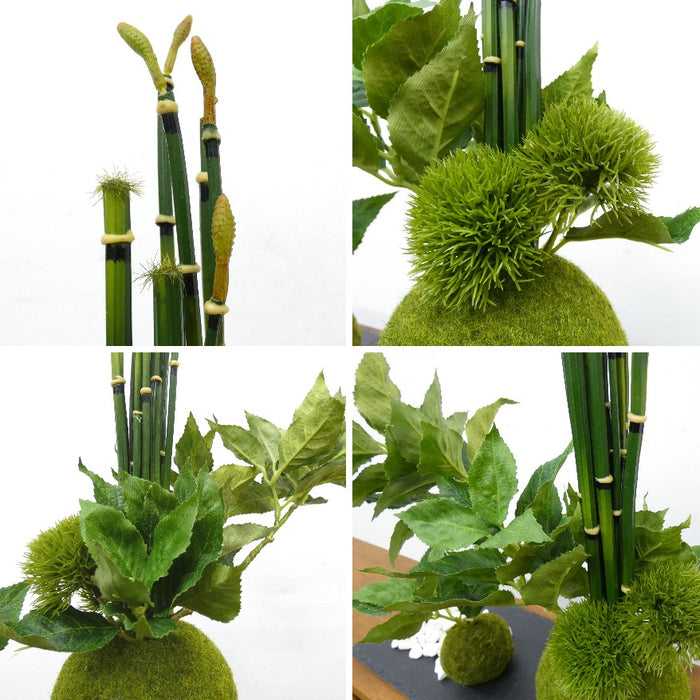 カップボン　苔玉黒岩皿　桜の葉
