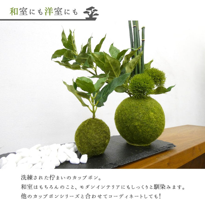 和室にも洋室にも