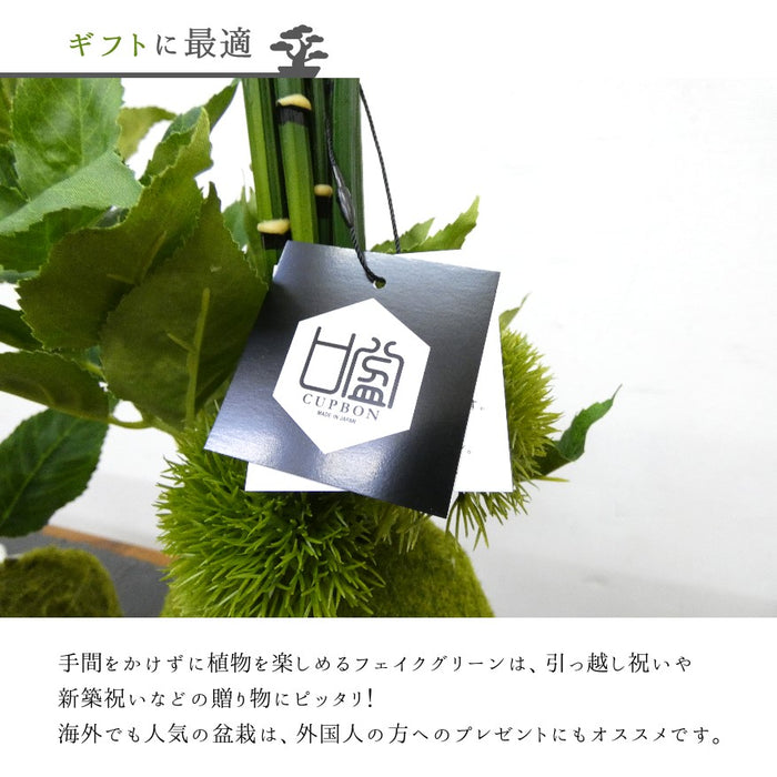 ギフトに最適