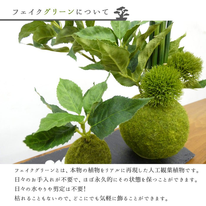 フェイクグリーンについて
