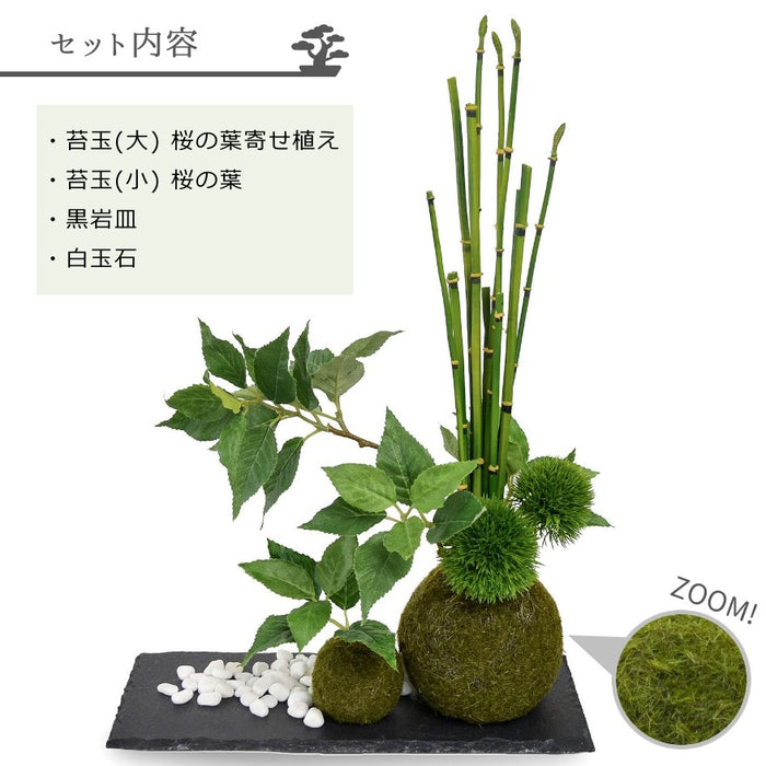 セット内容