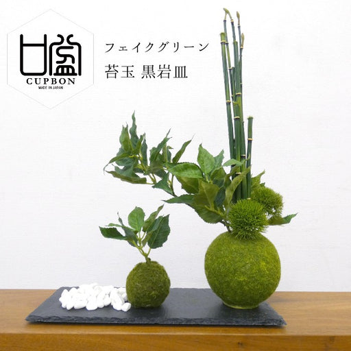 カップボン　苔玉黒岩皿　桜の葉