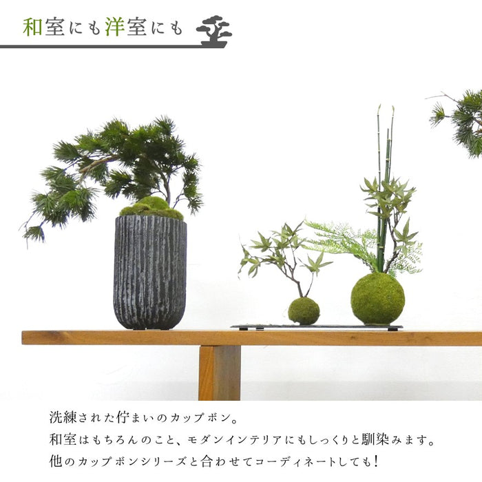 和室にも洋室にも