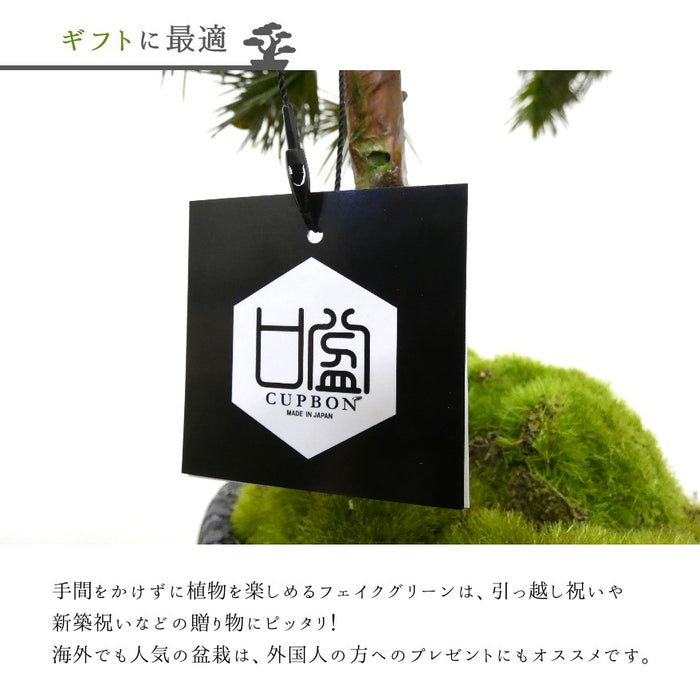 ギフトに最適