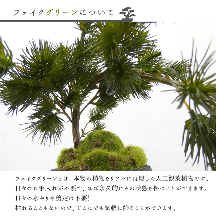 フェイクグリーンについて