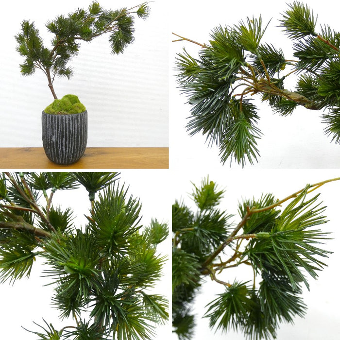 フェイクグリーン 造花盆栽 人工観葉植物 [松 吹き流し 苔盆] 黒陶器インテリアグリーン カップボン pr-18