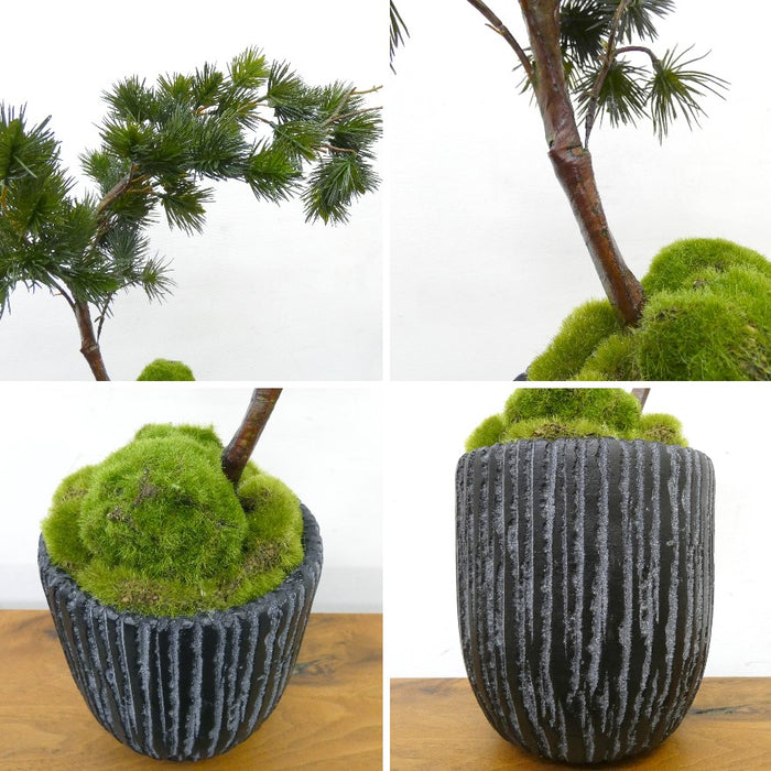 フェイクグリーン 造花盆栽 人工観葉植物 [松 吹き流し 苔盆] 黒陶器インテリアグリーン カップボン pr-18