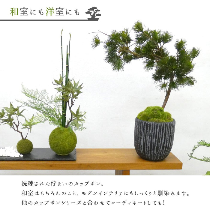 フェイクグリーン 造花盆栽 人工観葉植物 [松 吹き流し 苔盆] 黒陶器インテリアグリーン カップボン pr-18