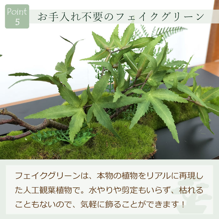 フェイクグリーン [モミジ×シノブ] ウォールデコM カップボン/CUPBON　pr-19