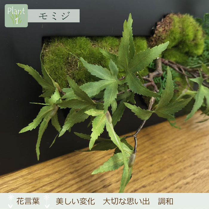 フェイクグリーン [モミジ×シノブ] ウォールデコM カップボン/CUPBON　pr-19
