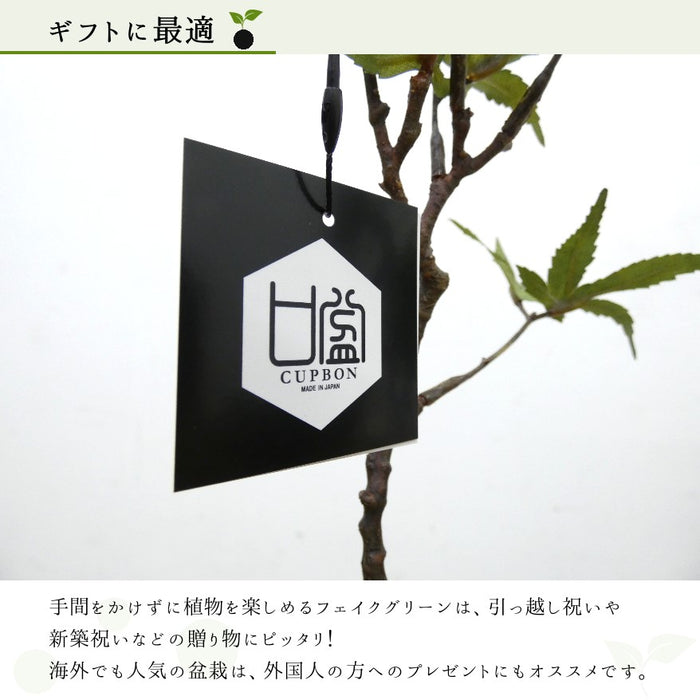 ギフトに最適