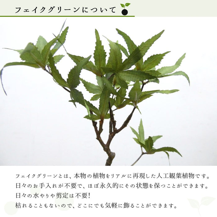フェイクグリーンについて