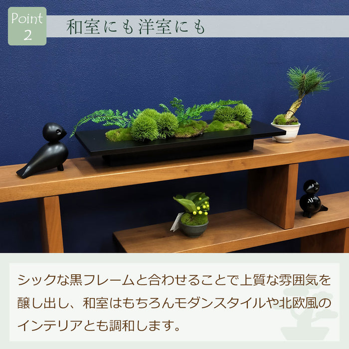 フェイクグリーン [マリモ×シノブ] ウォールデコM カップボン/CUPBON　pr-20