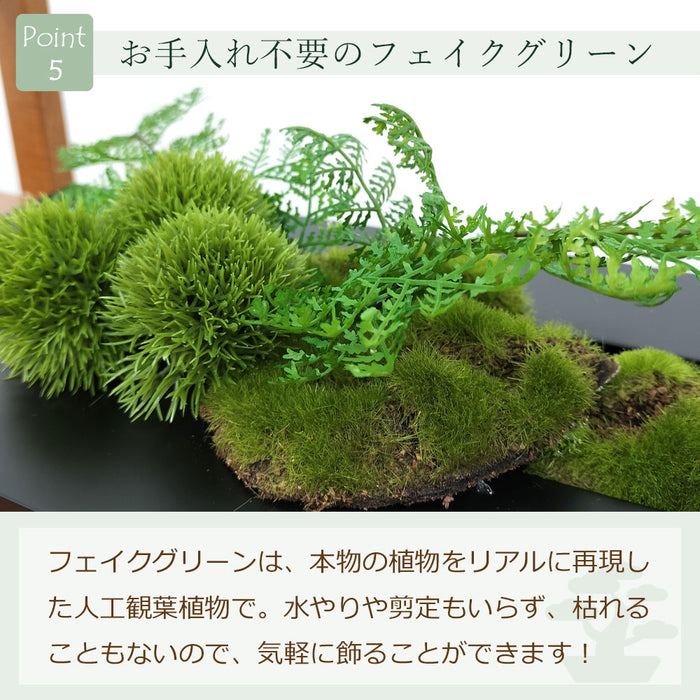 フェイクグリーン [マリモ×シノブ] ウォールデコM カップボン/CUPBON　pr-20