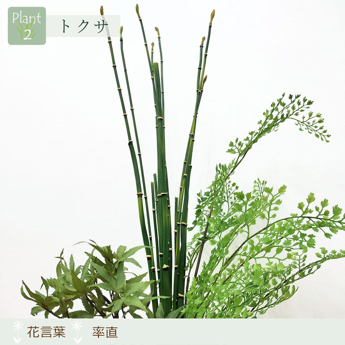 フェイクグリーン [寄せ植え盆栽　平皿/モミジ小] カップボン/CUPBON PRGR-1440　pr-21