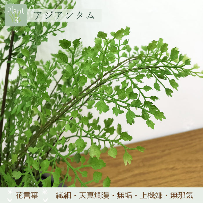 フェイクグリーン [寄せ植え盆栽　平皿/モミジ小] カップボン/CUPBON PRGR-1440　pr-21