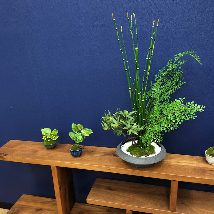 フェイクグリーン [寄せ植え盆栽　平皿/モミジ小] カップボン/CUPBON PRGR-1440　pr-21