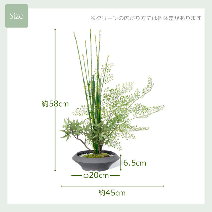 フェイクグリーン [寄せ植え盆栽　平皿/モミジ小] カップボン/CUPBON PRGR-1440　pr-21
