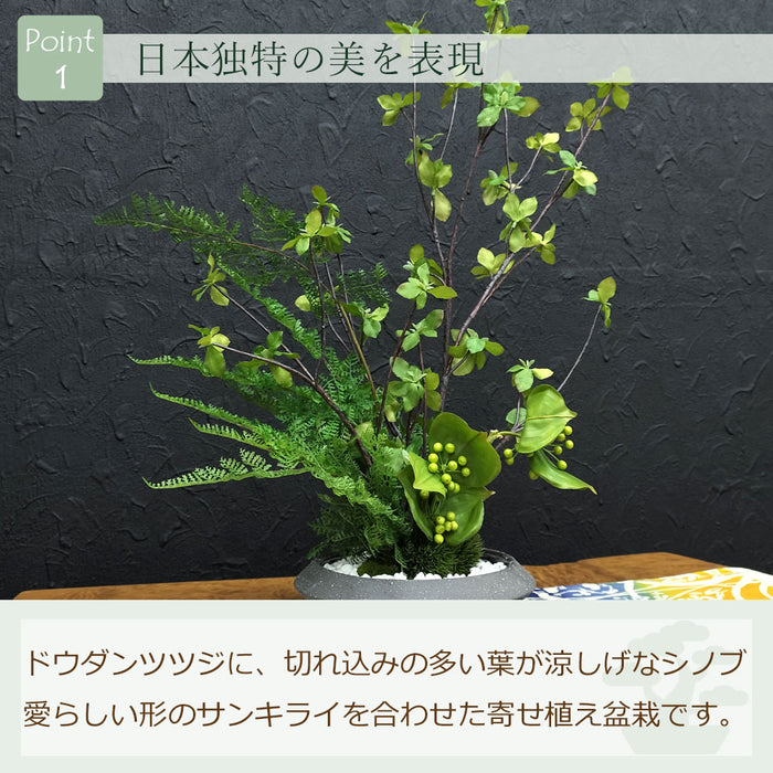 フェイクグリーン [寄せ植え盆栽　平皿/ドウダン小] カップボン/CUPBON PRGR-1441　pr-22