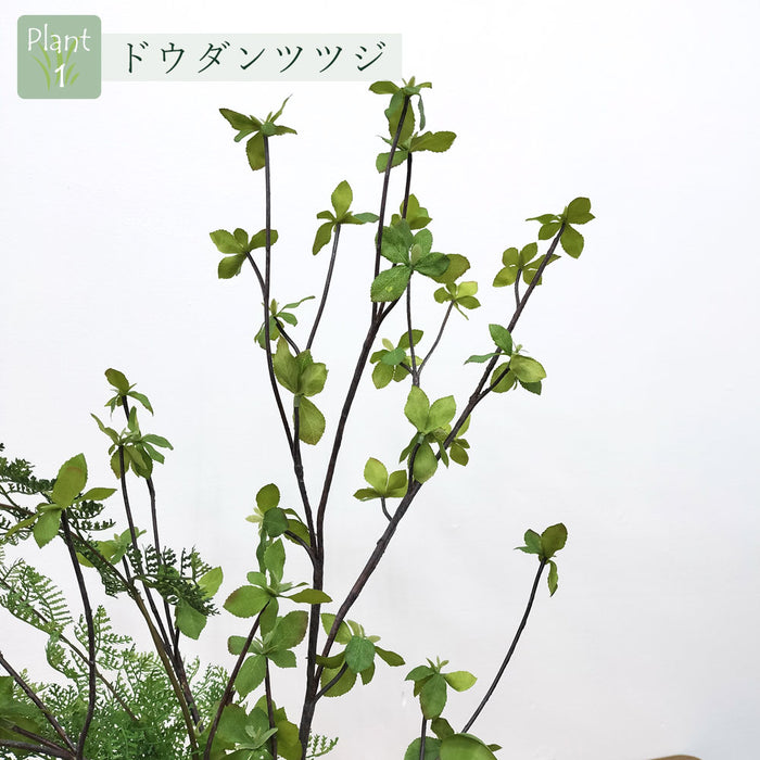 フェイクグリーン [寄せ植え盆栽　平皿/ドウダン小] カップボン/CUPBON PRGR-1441　pr-22