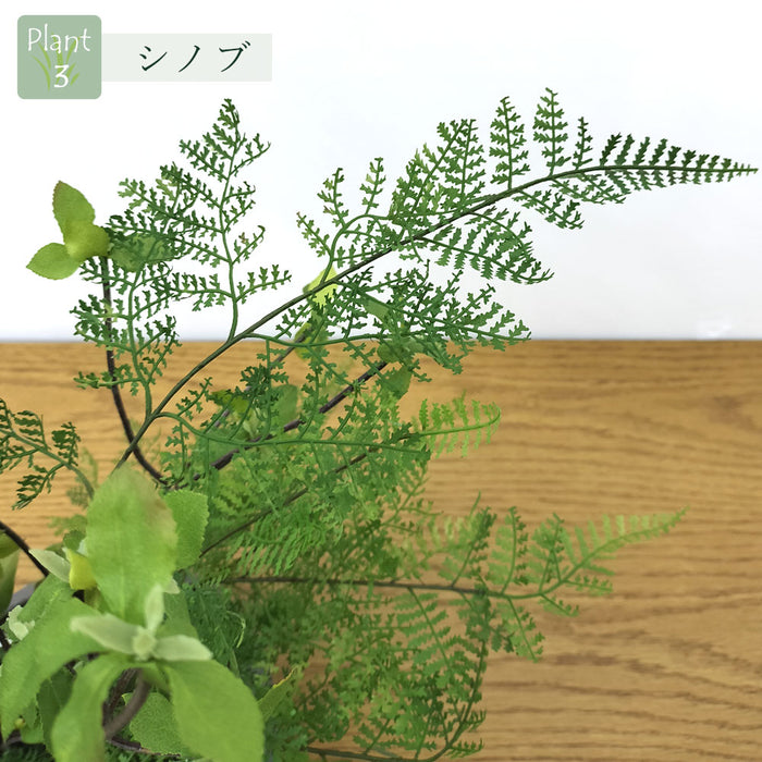 フェイクグリーン [寄せ植え盆栽　平皿/ドウダン小] カップボン/CUPBON PRGR-1441　pr-22