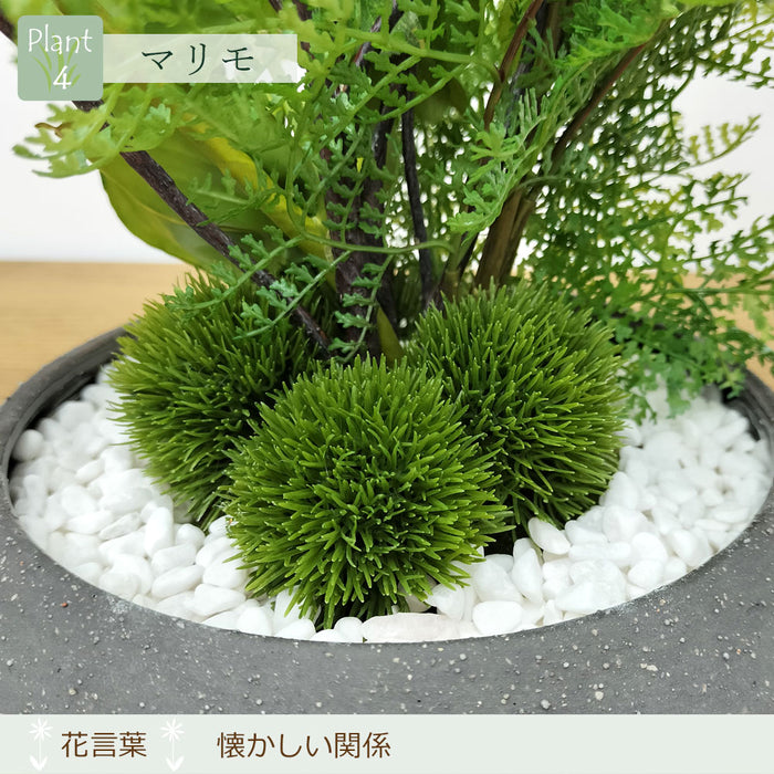 フェイクグリーン [寄せ植え盆栽　平皿/ドウダン小] カップボン/CUPBON PRGR-1441　pr-22