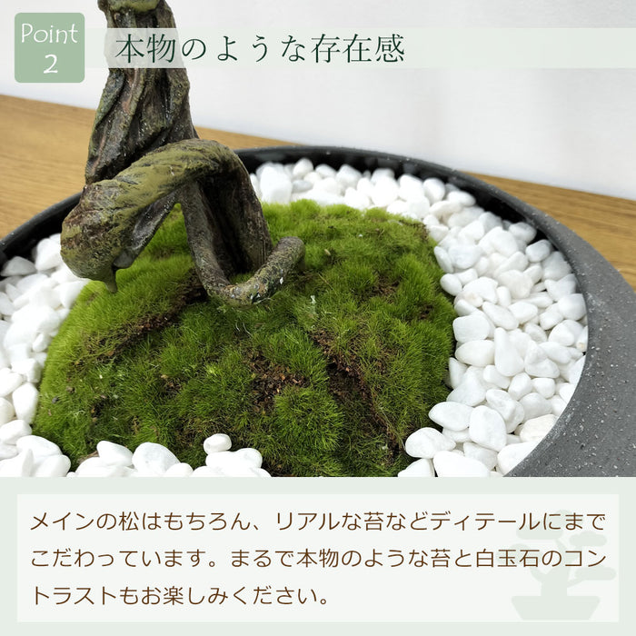 フェイクグリーン [松盆栽　平皿大] カップボン/CUPBON PRGR-1437　pr-23