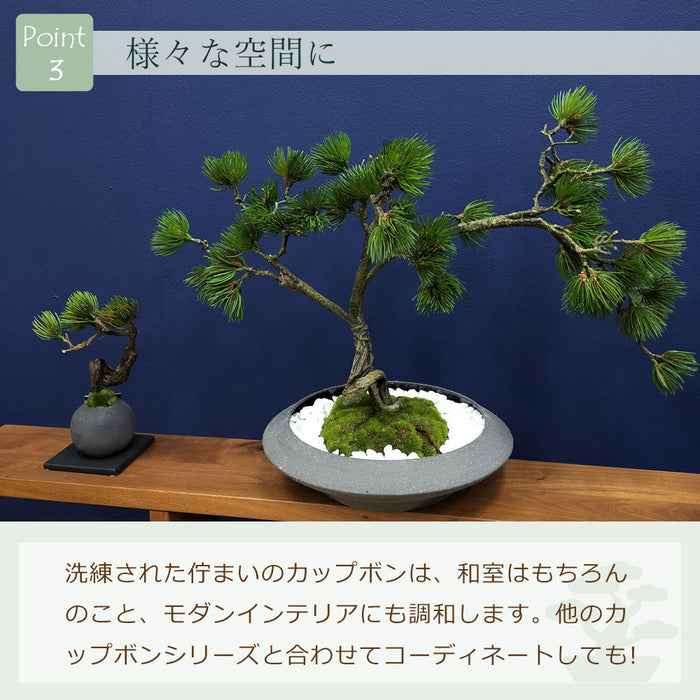 フェイクグリーン [松盆栽　平皿大] カップボン/CUPBON PRGR-1437　pr-23