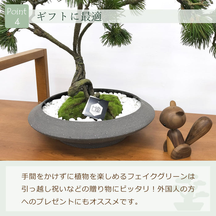 フェイクグリーン [松盆栽　平皿大] カップボン/CUPBON PRGR-1437　pr-23