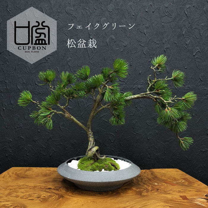 フェイクグリーン [松盆栽　平皿大] カップボン/CUPBON PRGR-1437　pr-23