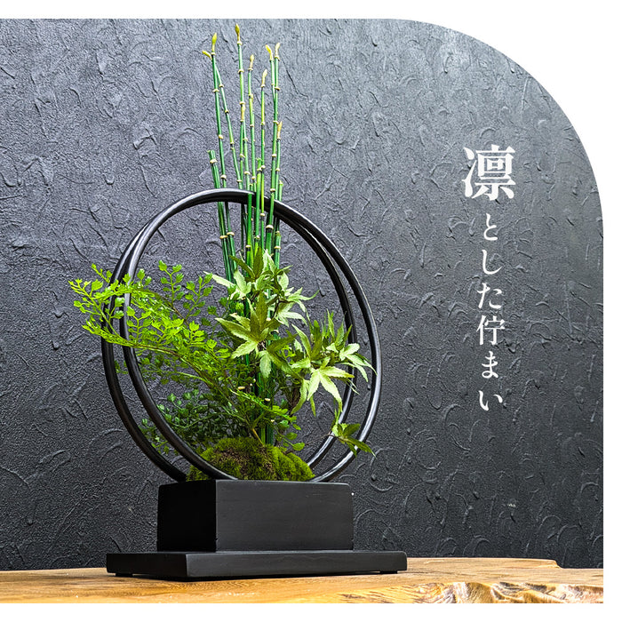 フェイクグリーン [モミジ寄せ植え盆栽 リングベースS] カップボン/CUPBON PRGR-1231　pr-24